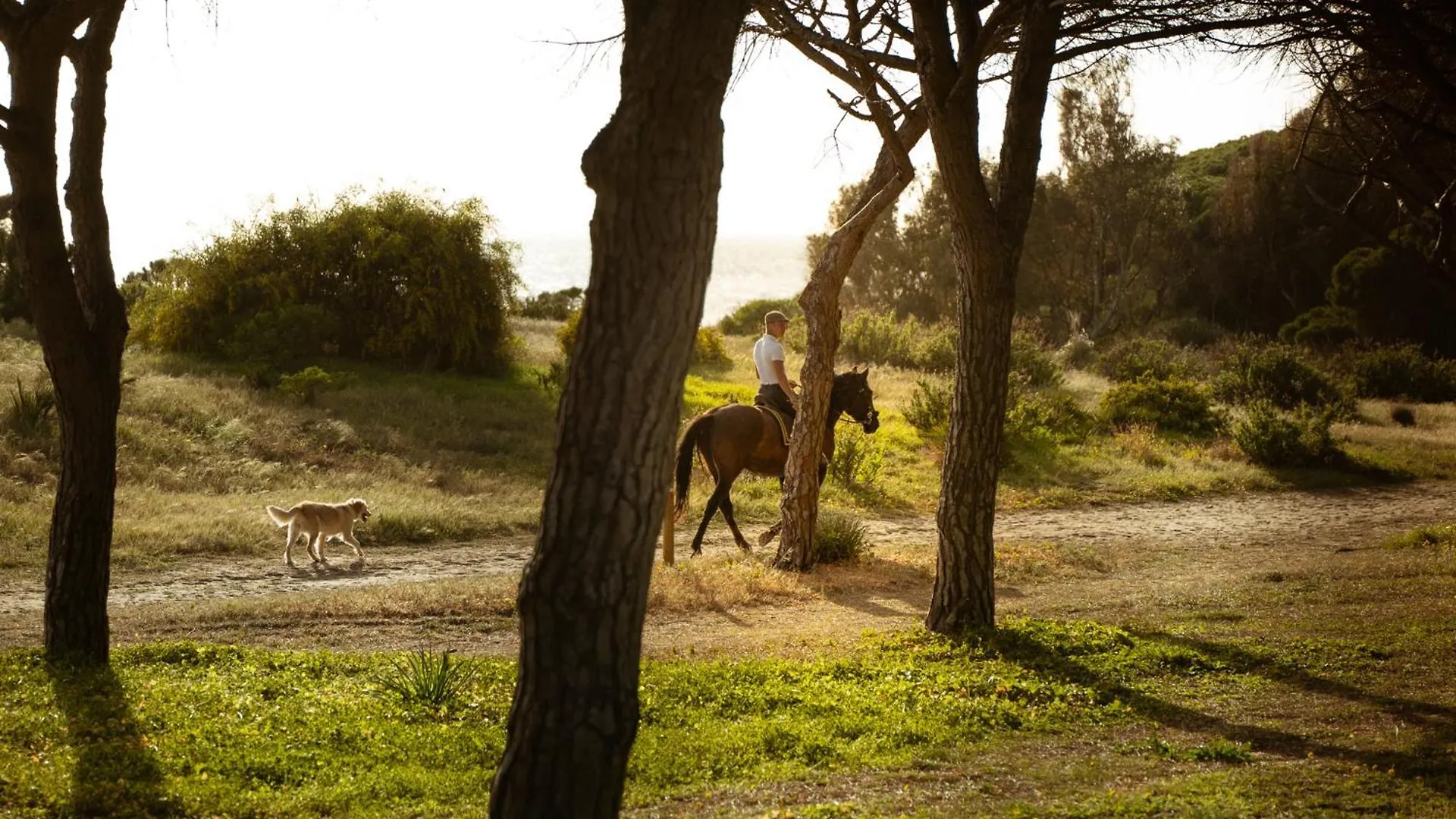 Campo de lujo Hotel Kampaoh Tarifa